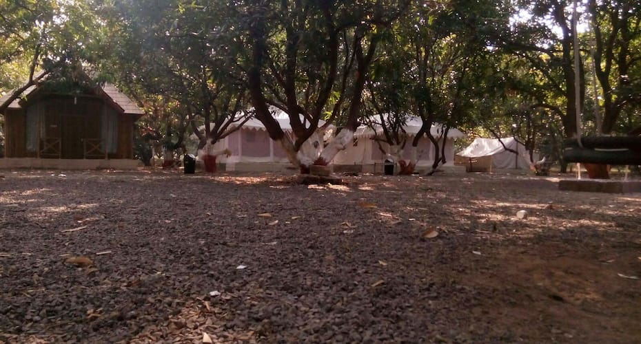Bhikhabhai Zala Homestay, Somnath 2